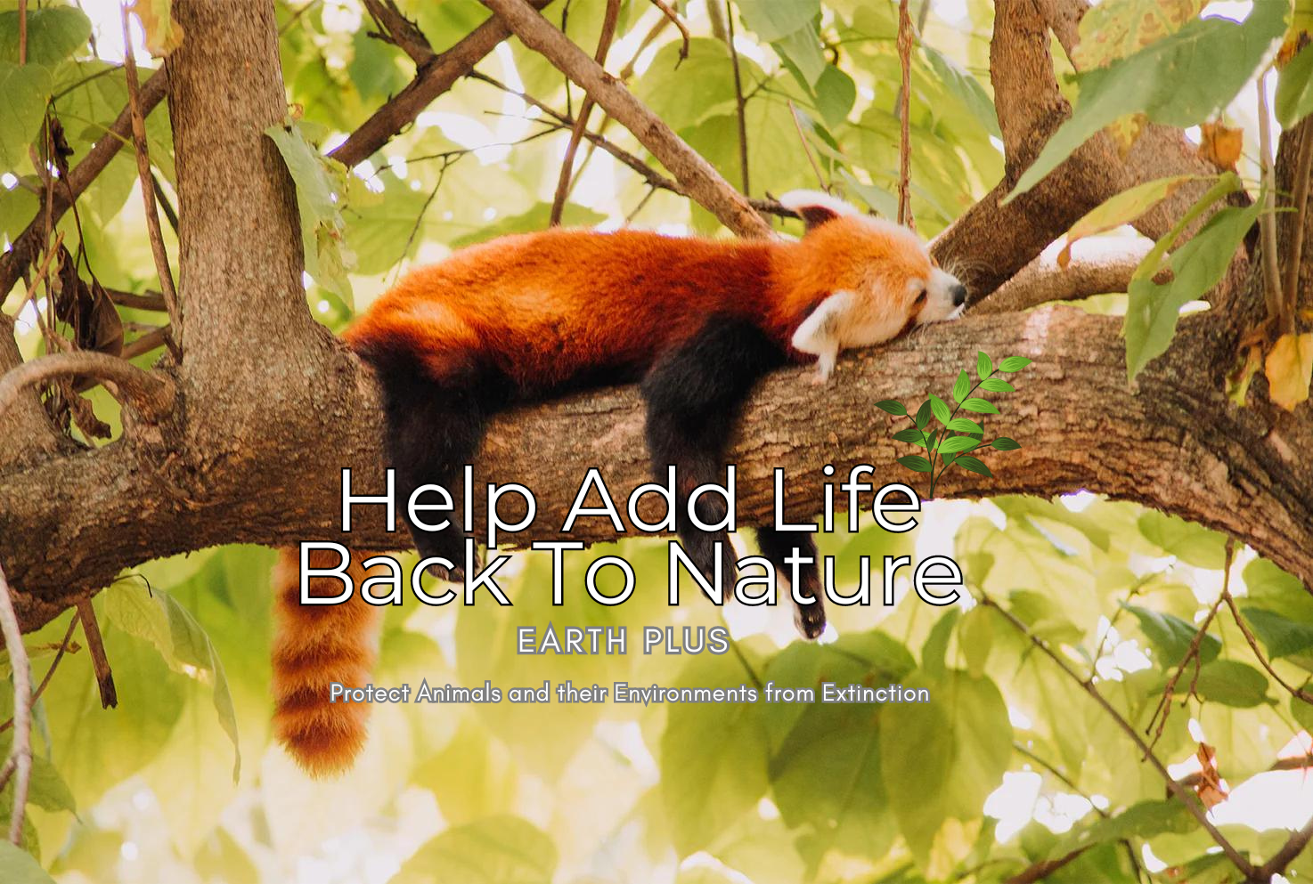 Red Panda laying on a tree, with text saying 'Help Add Life Back To Nature'.